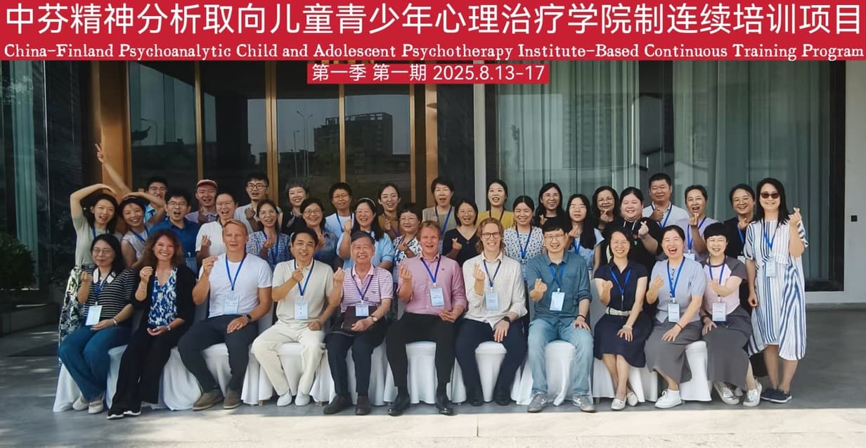China-Finland psychotherapy training group